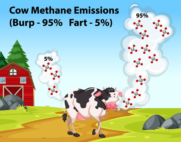 Cow Methane Emission - Greenhouse Gases