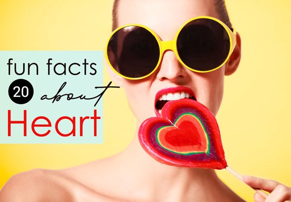 Fun Facts about Heart